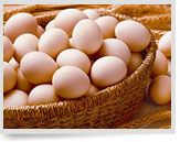 鸭（鸡）蛋制品1.jpg